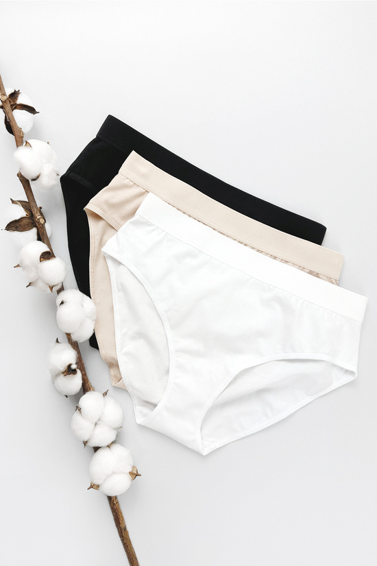 Alana cotton panty triple pack