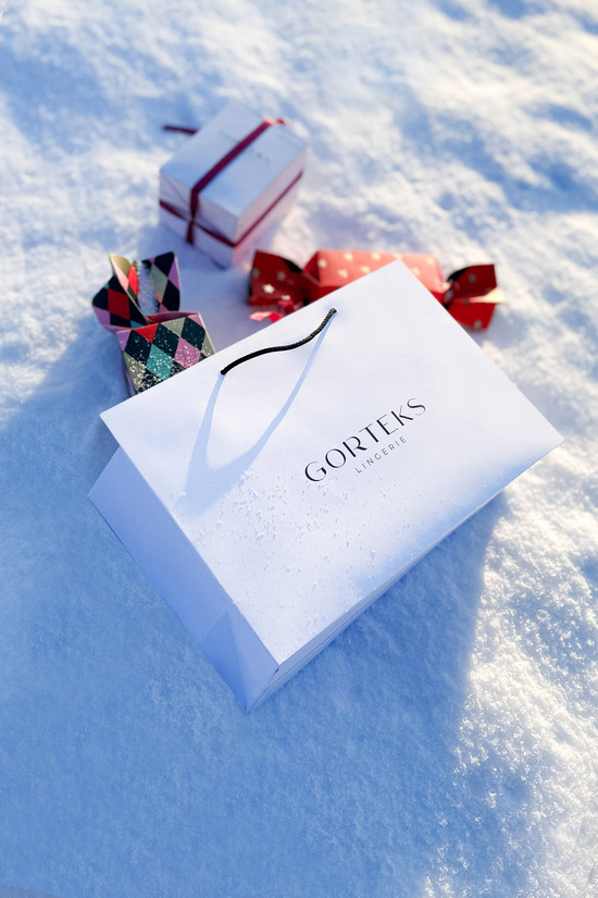 Paper gift bag with ribbon